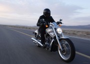 Harley-Davidson XL1200N Nightster